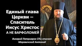Варфоломей не Папа римский и не имеет прав раздавать автокефалии. Епископ СПЦ Антоний