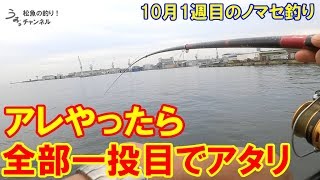 神戸で青物ノマセ釣り。これやったら全部一投目でヒット。10月1週目の泳がせ釣り。
