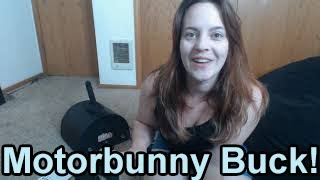 Toy Review - Motorbunny Buck Sex Machine Thrusting and Vibrating App Enabled Toy