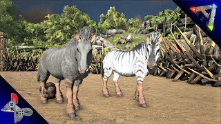 Ark: Ragnarok - EXPLORING THE MAP/EQUUS TAMING!! [E3]