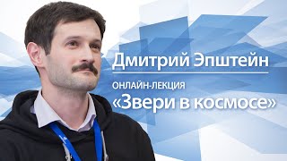 Звери в космосе | Дмитрий Эпштейн