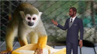 Why Monkeys Choose Bananas Over Money- Dr Boyce Watkins