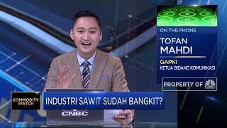 Harga CPO Melejit, Gapki: Prospek Industri Sawit Masih Positif