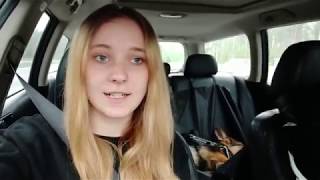 Как приучить собаку к поездкам на машине - Лайфхак