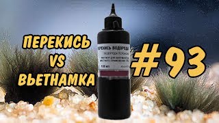 #93 Водоросли в аквариуме. ПЕРЕКИСЬ VS ВЬЕТНАМКА. Algae in the aquarium. PEROXIDE VS Audeuinella