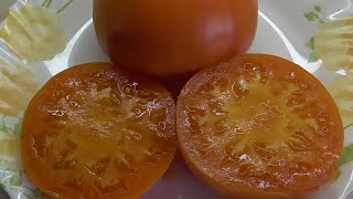 ТОМАТ ОРАНЖЕВАЯ КЛУБНИКА НЕМЕЦКАЯ. №353. Дегустация. 