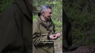 Потепление по комарам. Лапландский заповедник.