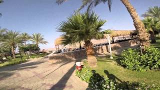 отзыв beach albatros sharm