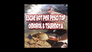 Esche Hot per Pesci TOP - Omorol & Tsurinoya