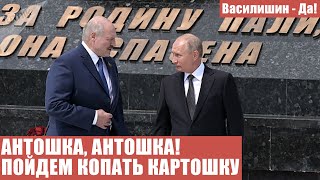 АНТОШКА, АНТОШКА! ПОЙДЕМ КОПАТЬ КАРТОШКУ