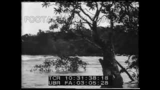 1914 / 1928, Brazil Documentary Film 220632-11 | Footage Farm