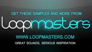 Loopmasters present Biggabush Afro Electro Dub - Electro Dub Samples