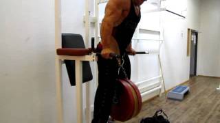 Jerry Ossi IFBB Pro - Dips