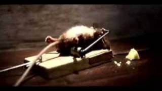 Mouse exercising with a mouse trap (cheese ad)