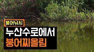챔질연습하기 좋은 김포 누산리수로 붕어낚시