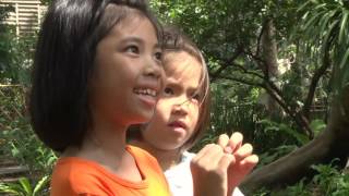 รายการบ้านนักวิทยาศาสตร์น้อย ปี 3 ตอนที่ 150 การบิด
