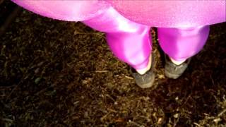 Leggings Purple Spandex Lycra in the Park - Calzas de Lycra brillosas Purpura en Publico 2
