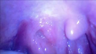 looking into two friend's throats vore (male).