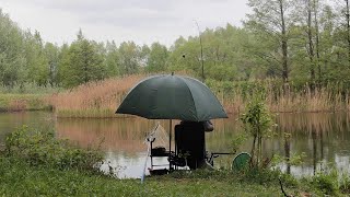 Ловля пикером Волжанка на старице реки. Рыбалка 2019. Беларусь.