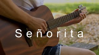 Señorita - Shawn Mendes & Camila Cabello (Fingerstyle guitar cover)