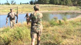 Sissy at Four States HRC Seasoned Hunt Test 10092011