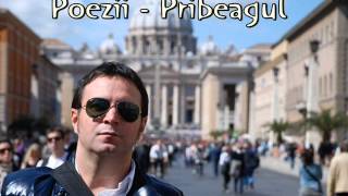 Daniel Buzdugan - Poezii - Pribeagul