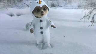 Compare The Meerkat Advert (Oleg's Magical Dream )