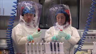 EL ORIGEN DEL CORONAVIRUS DE WUHAN
