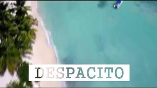 Индийский Despacito 2017