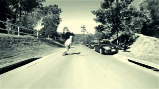 Raw Run | Dog + 360