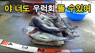 7.6소야도에서 우럭잡아 회뜨기