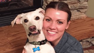 Minnesota woman adopts abused dog from Alabama. Now he's obsessed with snow.