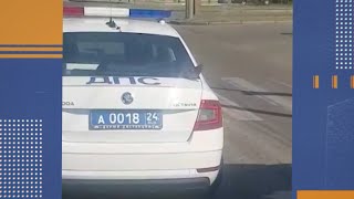 Голубь катается на багажнике машины ДПС