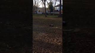 IMG 6099