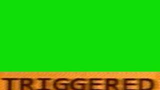 TRIGGERED футаж со звуком