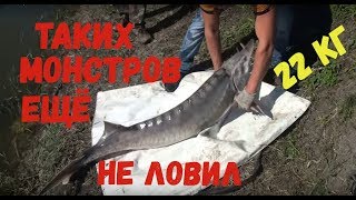 Ловля Осётра / Клевое место