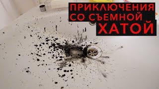 [18+] Приключения со съемной хатой в Питере (рум тур)