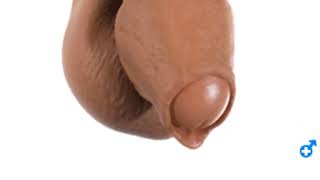 Foreskin: Why does it exist?