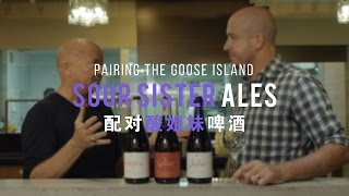 Pairing The Goose Island Sour Sister Ales