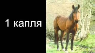 видеоролик "О вреде курения"