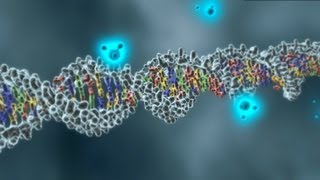 DNA and discovery: The Genome Analysis Centre