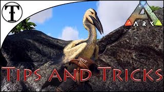 Fast Ichthyornis Taming Guide :: Ark : Survival Evolved Tips and Tricks