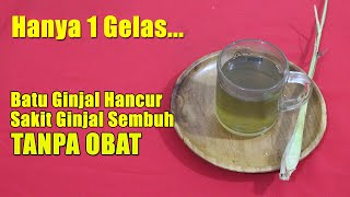 DOKTER KAGET...! CUKUP MINUM INI SETIAP HARI, BATUGINJALHANCUR DAN KELUAR SENDIRI