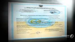 вальгусная деформация стопы причины

  - Valgus Pro с большой скидкой