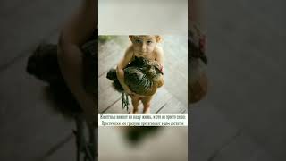 #детииживотные #собакадругчеловека #домашниеживотные #домашниелюбимцы #питомцыдома #собакалучшийдруг
