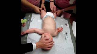 Six Month Immunizations