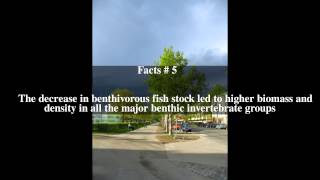 Lake Pohjalampi Top # 10 Facts