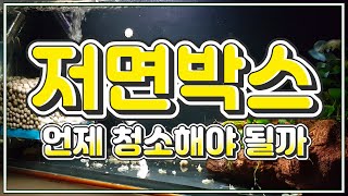 [저면박스 여과기] 언제 청소해야 될까?｜여과솜의 기능 & 저렴한 구매 꿀팁｜여과의 원리