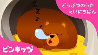 どうぶつのせかい | どうぶつのうた 英日版 | 子ども向け 英語の歌 | Hibernation Song | おうち英語 | 知育動画 | キッズ | ピンキッツ！