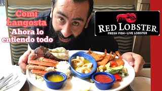 DONDE COMER LANGOSTA